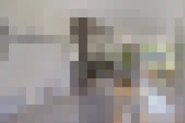 Arnold van Lieropstraat 15 Steenbergen thumbnail 5