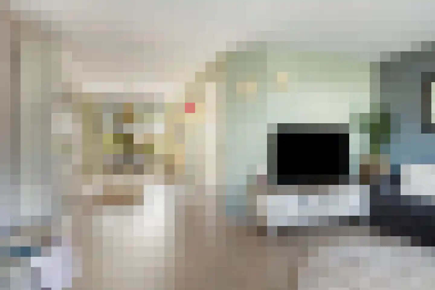 Arnold van Lieropstraat 48 Steenbergen thumbnail 12