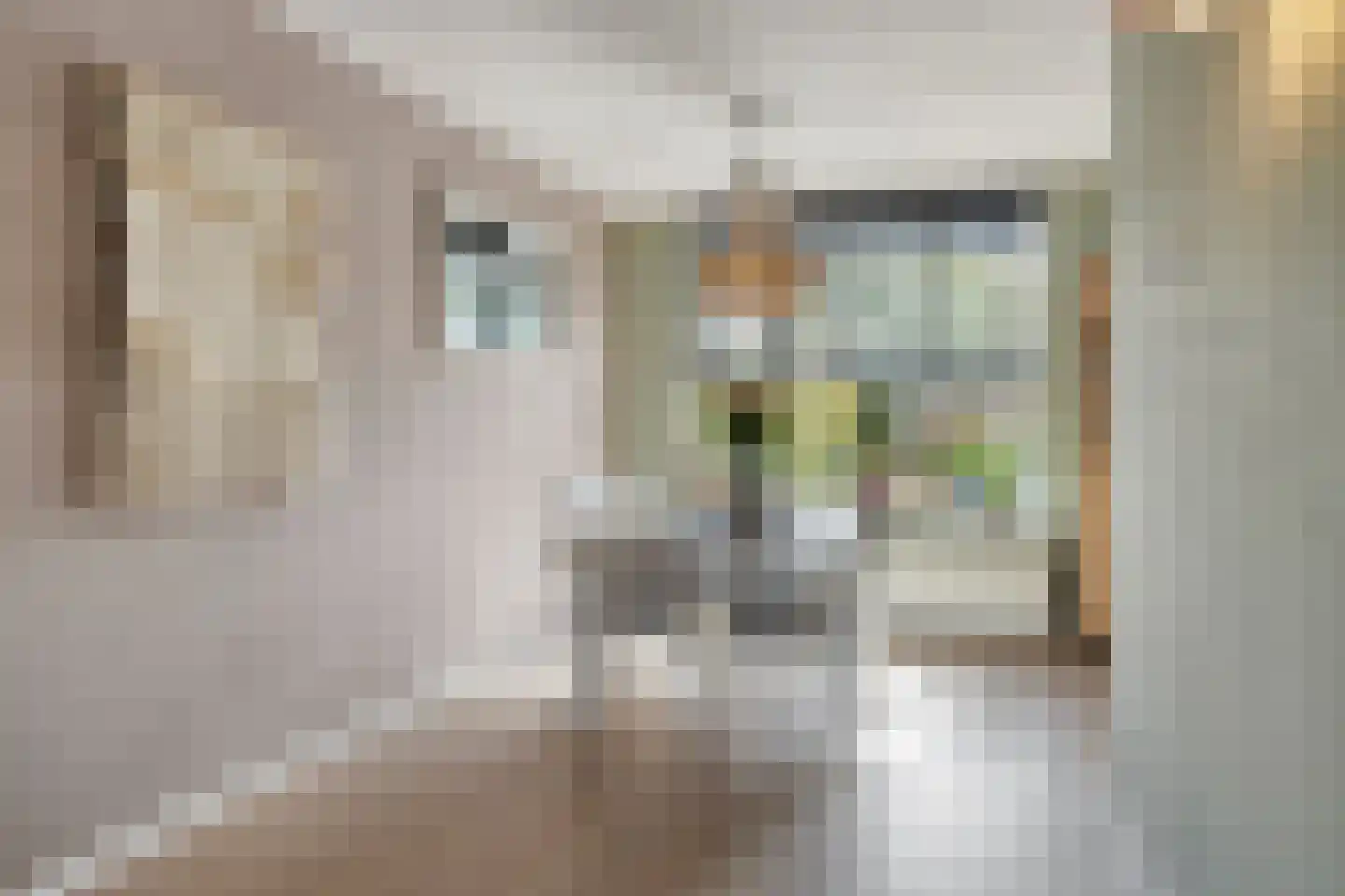 Arnold van Lieropstraat 48 Steenbergen thumbnail 13