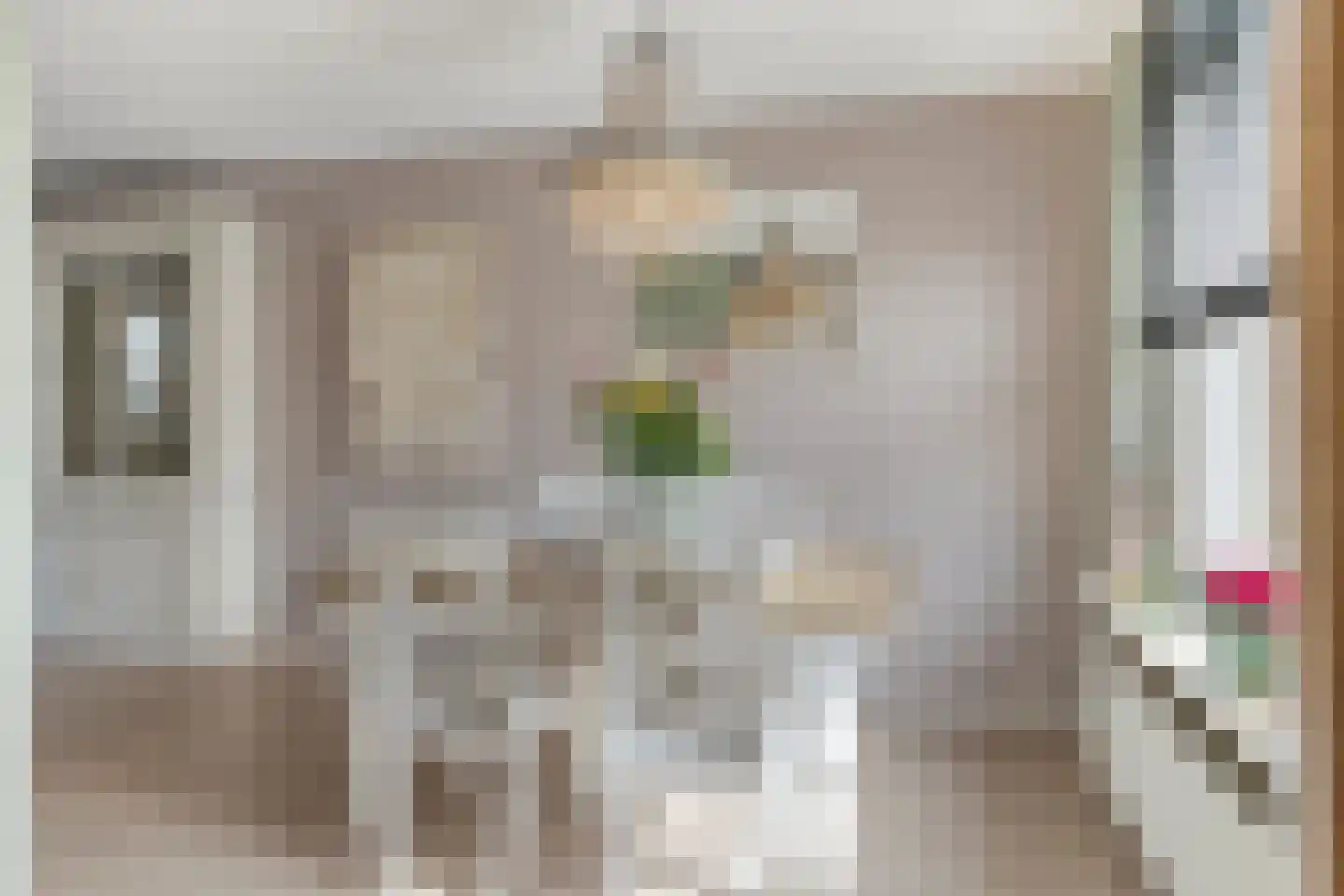 Arnold van Lieropstraat 48 Steenbergen thumbnail 15