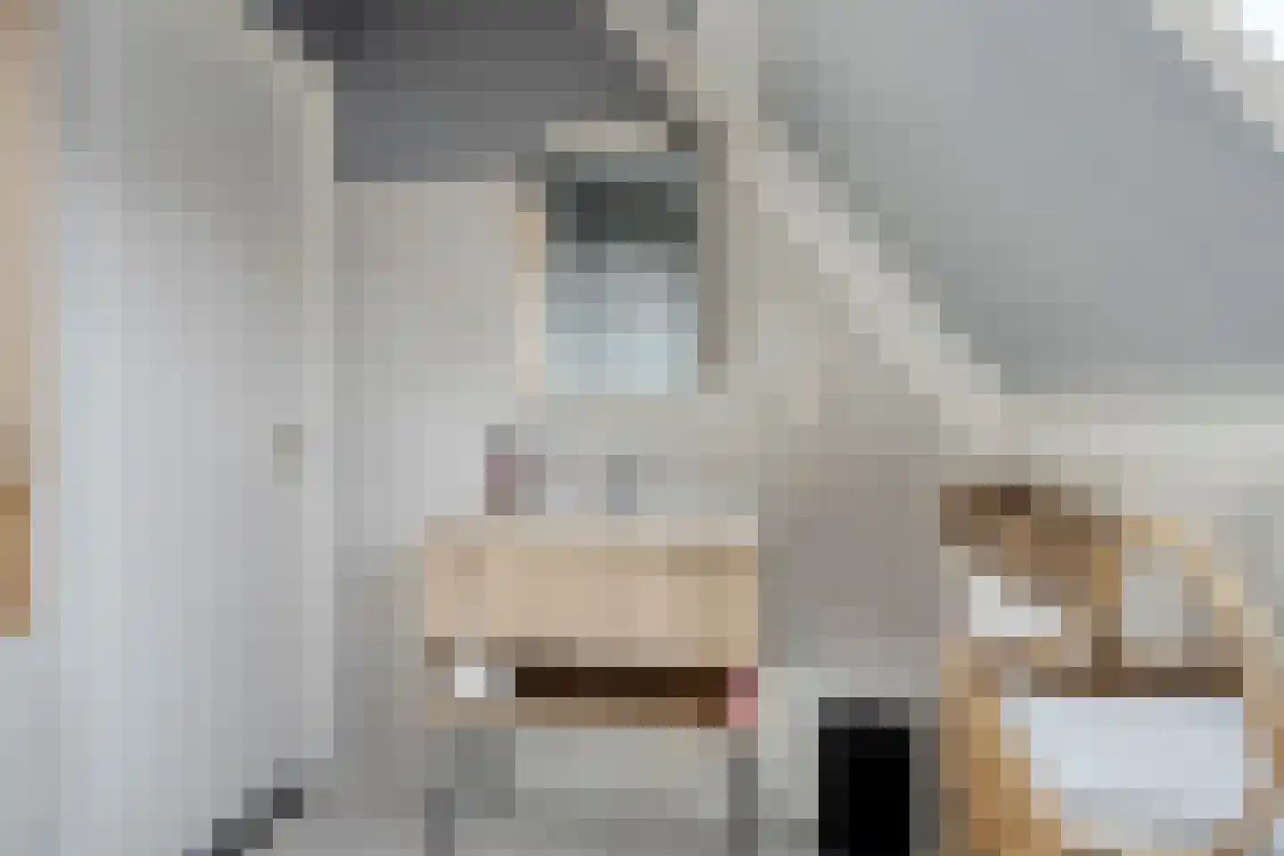 Arnold van Lieropstraat 48 Steenbergen thumbnail 24