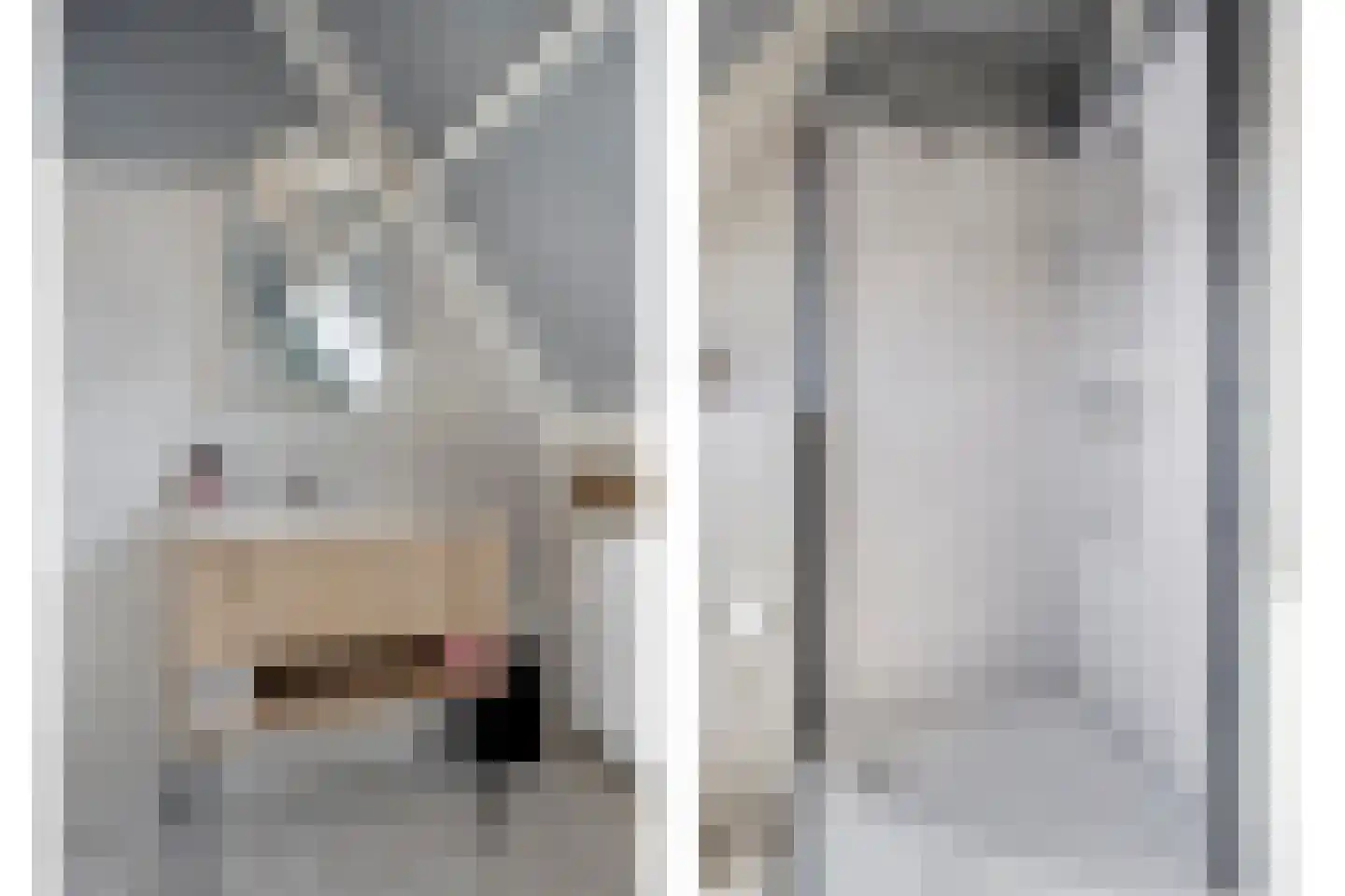 Arnold van Lieropstraat 48 Steenbergen thumbnail 25