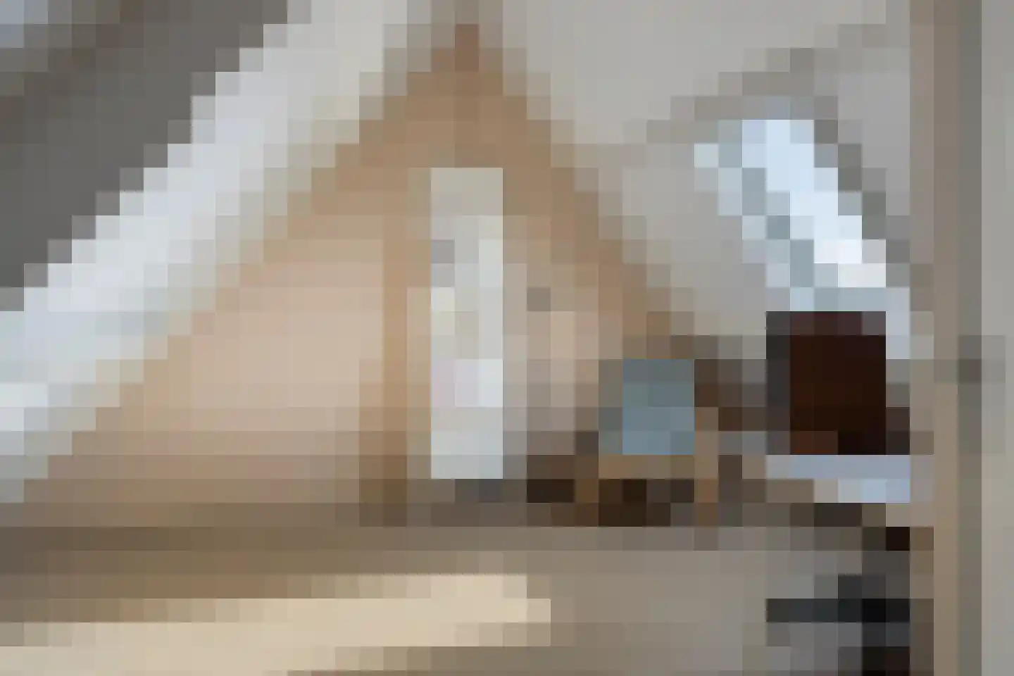 Arnold van Lieropstraat 48 Steenbergen thumbnail 31