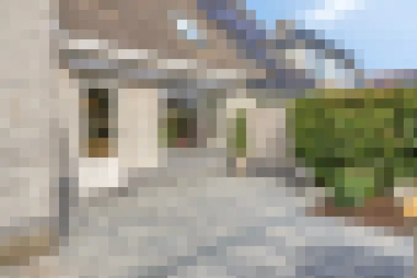 Arnold van Lieropstraat 48 Steenbergen thumbnail 34