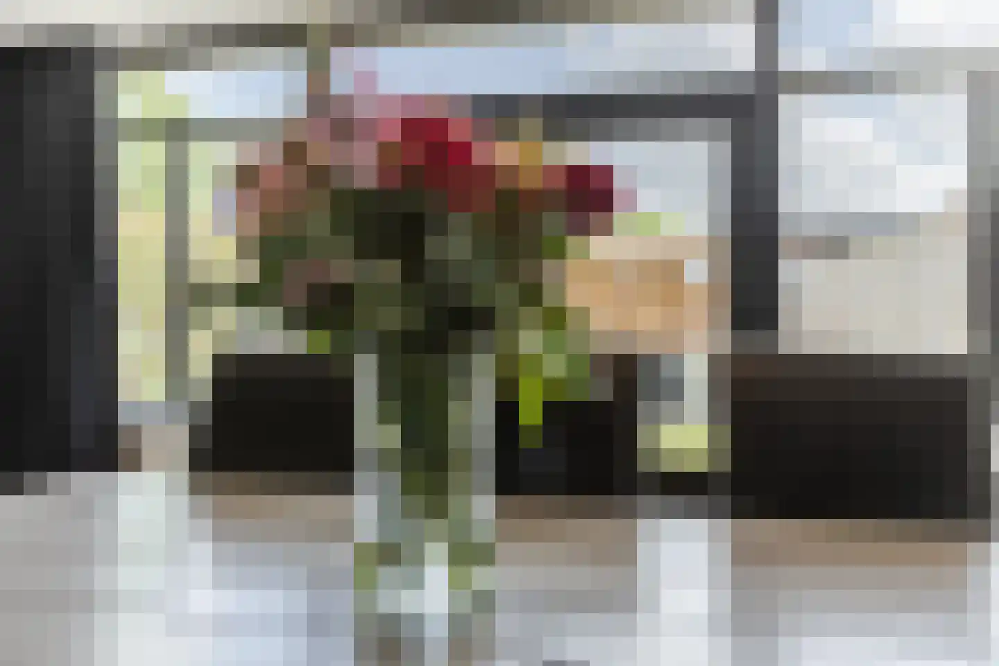 Arnold van Lieropstraat 54 Steenbergen thumbnail 11