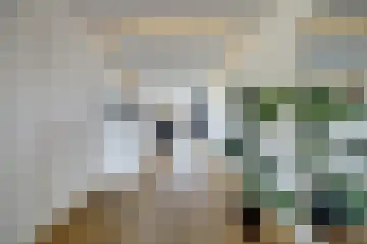 Arnold van Lieropstraat 54 Steenbergen thumbnail 14