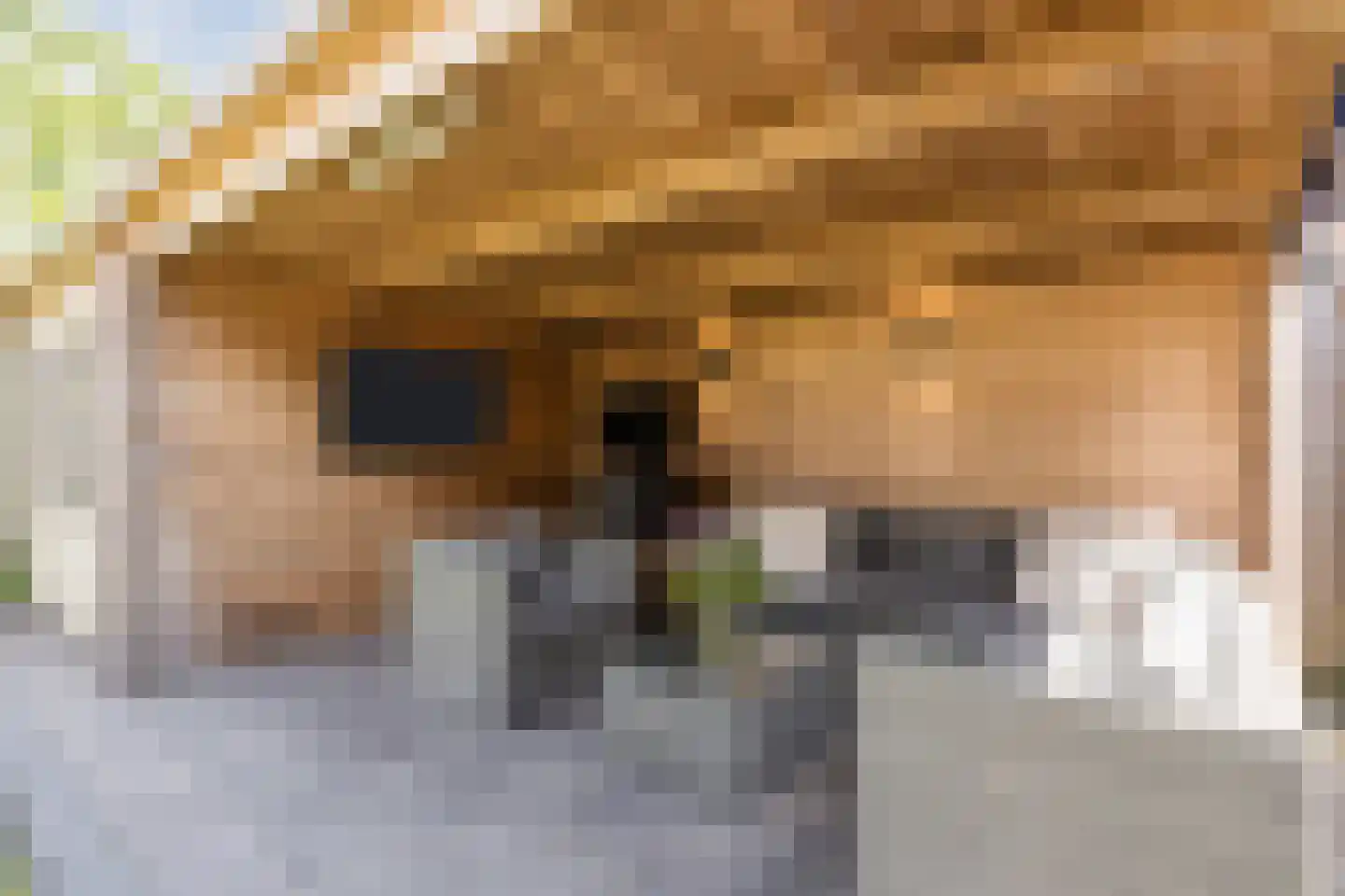 Arnold van Lieropstraat 54 Steenbergen thumbnail 29