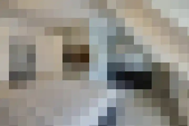 Arnold van Lieropstraat 54 Steenbergen thumbnail 30