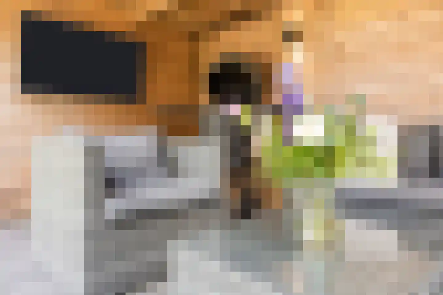 Arnold van Lieropstraat 54 Steenbergen thumbnail 31
