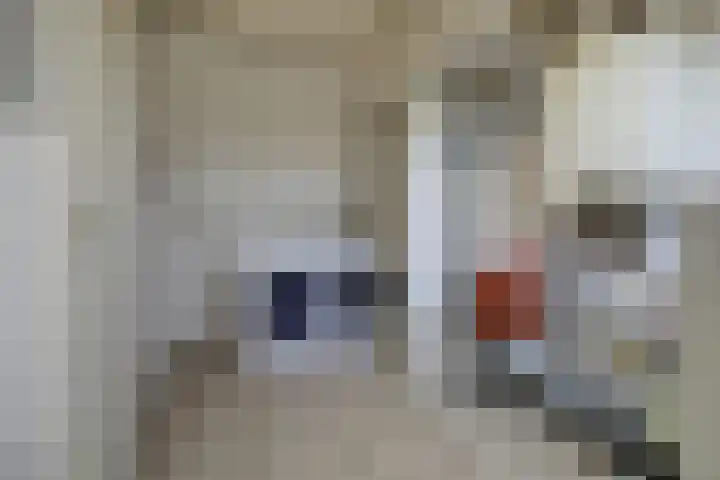 Arnold van Lieropstraat 54 Steenbergen thumbnail 34