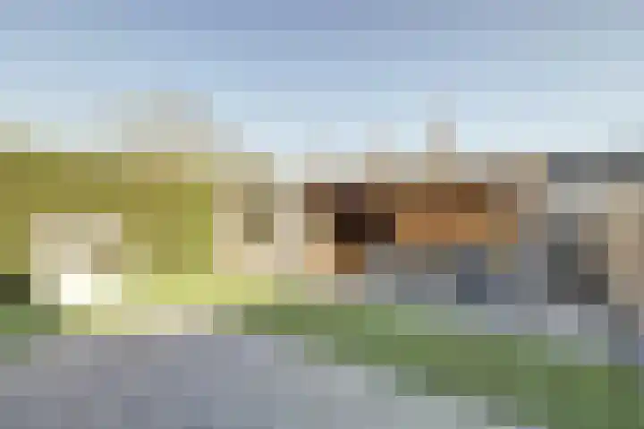 Arnold van Lieropstraat 54 Steenbergen thumbnail 38