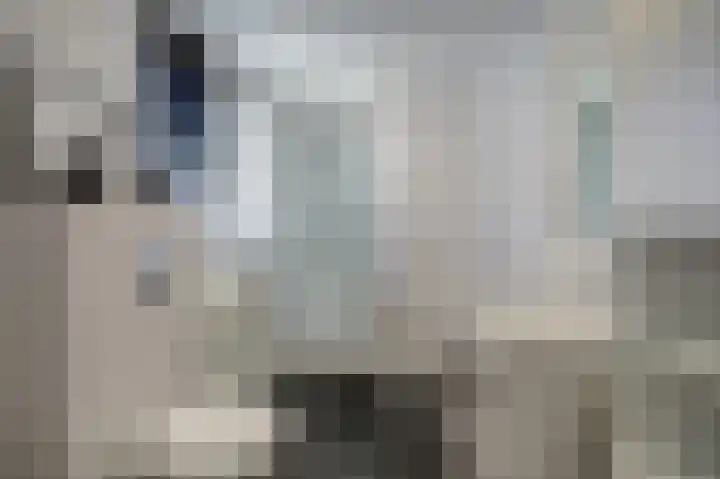 Arnold van Lieropstraat 54 Steenbergen thumbnail 4