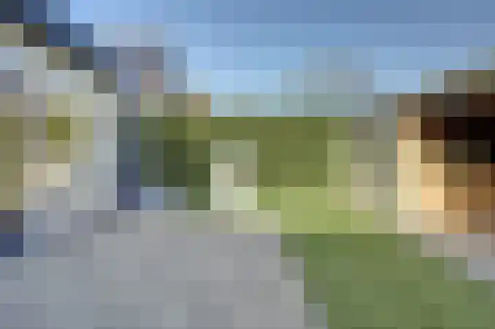 Arnold van Lieropstraat 54 Steenbergen thumbnail 41