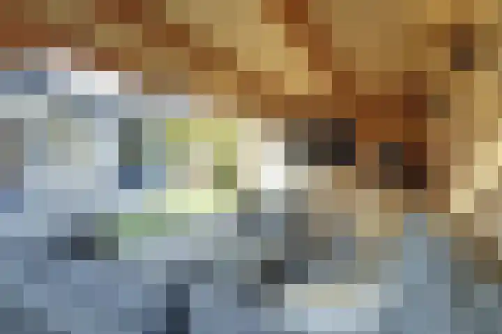 Arnold van Lieropstraat 54 Steenbergen thumbnail 43