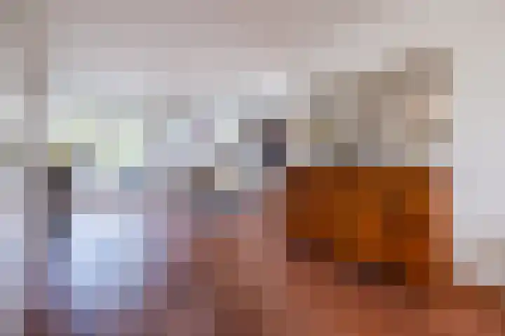 Arnold van Lieropstraat 56 Steenbergen thumbnail 16