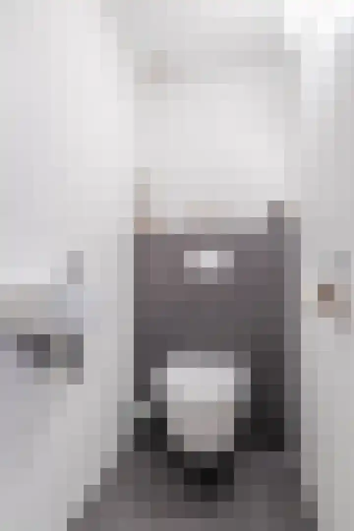 Arnold van Lieropstraat 56 Steenbergen thumbnail 26