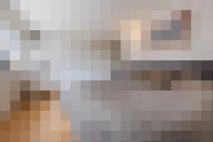 Arnold van Lieropstraat 56 Steenbergen thumbnail 31