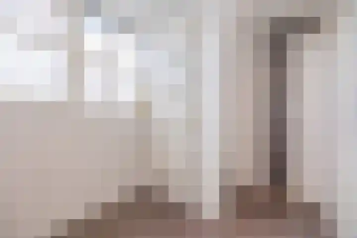 Arnold van Lieropstraat 56 Steenbergen thumbnail 37