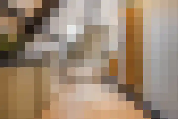 Arnold van Lieropstraat 56 Steenbergen thumbnail 42