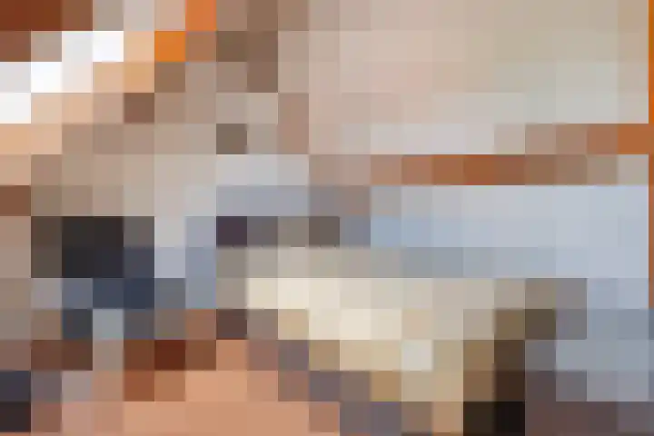 Arnold van Lieropstraat 56 Steenbergen thumbnail 48