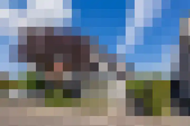 Arnold van Lieropstraat 56 Steenbergen thumbnail 5