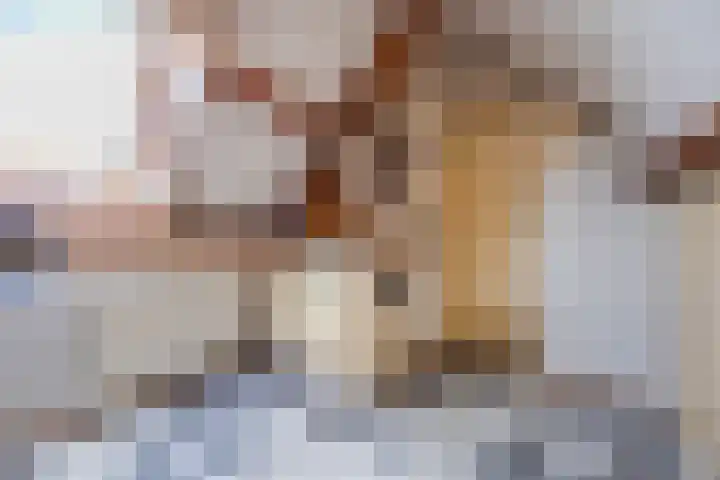 Arnold van Lieropstraat 56 Steenbergen thumbnail 53