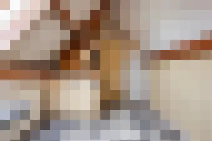 Arnold van Lieropstraat 56 Steenbergen thumbnail 54