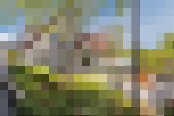 Arnold van Lieropstraat 56 Steenbergen thumbnail 56