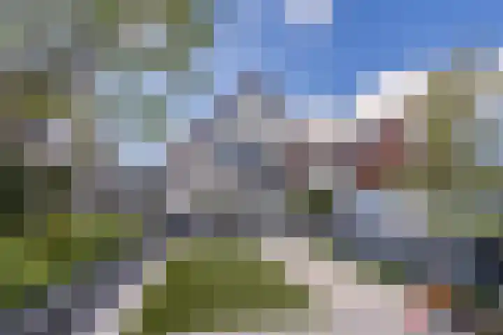 Arnold van Lieropstraat 56 Steenbergen thumbnail 57