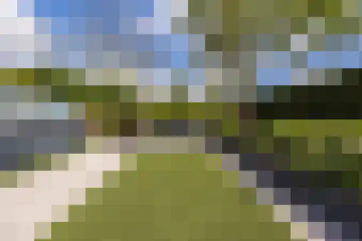 Arnold van Lieropstraat 56 Steenbergen thumbnail 61