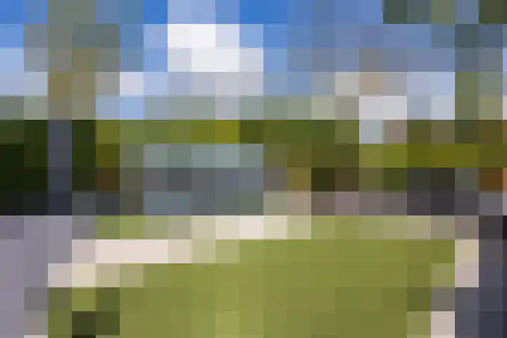Arnold van Lieropstraat 56 Steenbergen thumbnail 62