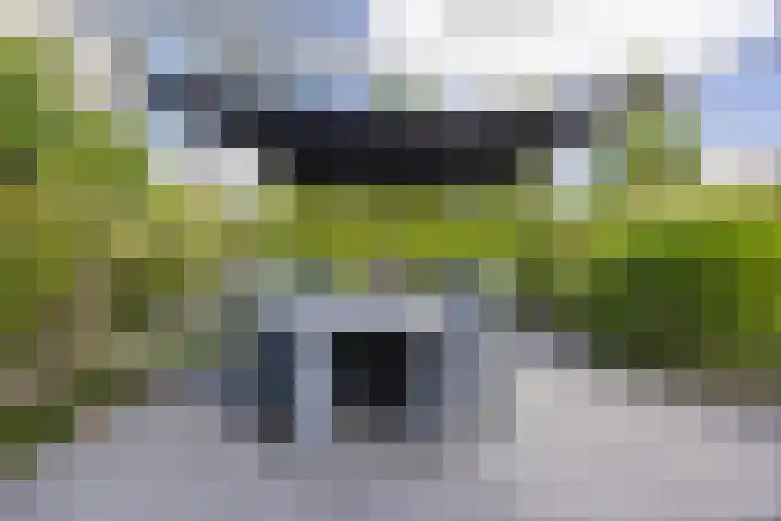 Arnold van Lieropstraat 56 Steenbergen thumbnail 63