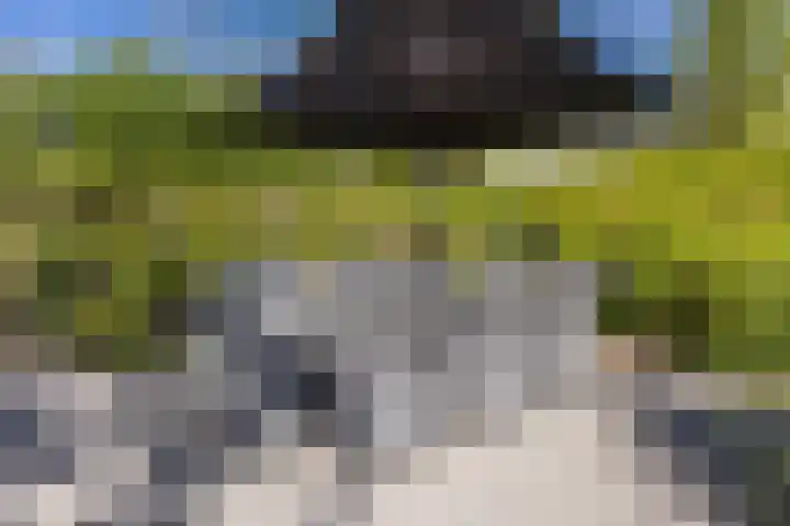 Arnold van Lieropstraat 56 Steenbergen thumbnail 64