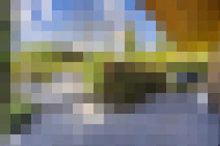 Arnold van Lieropstraat 56 Steenbergen thumbnail 65