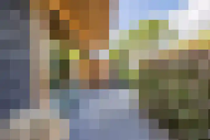 Arnold van Lieropstraat 56 Steenbergen thumbnail 66