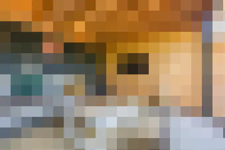Arnold van Lieropstraat 56 Steenbergen thumbnail 69