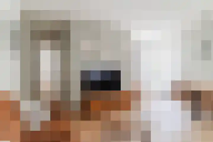 Arnold van Rodelaan 1 Hapert thumbnail 11
