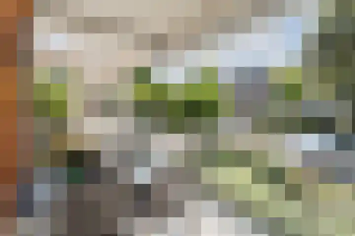 Arnold van Rodelaan 1 Hapert thumbnail 14