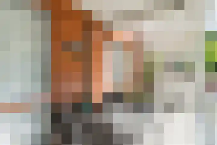 Arnold van Rodelaan 1 Hapert thumbnail 15