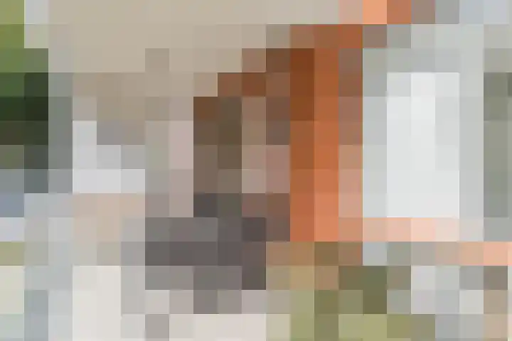 Arnold van Rodelaan 1 Hapert thumbnail 16
