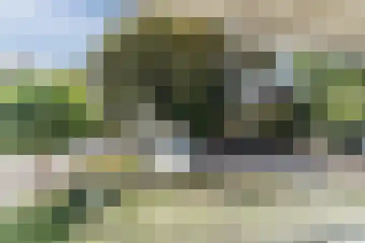 Arnold van Rodelaan 1 Hapert thumbnail 17
