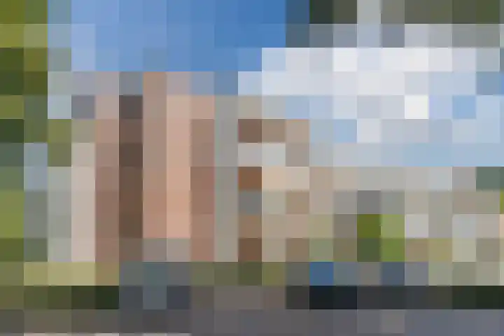 Arnold van Rodelaan 1 Hapert thumbnail 30