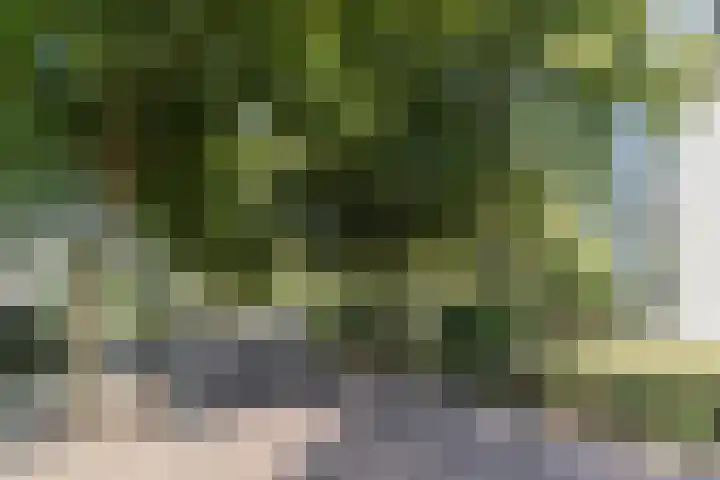 Arnold van Rodelaan 1 Hapert thumbnail 31