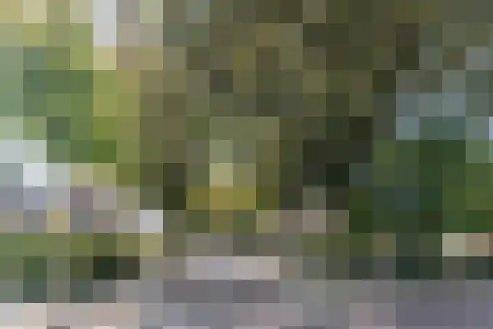 Arnold van Rodelaan 1 Hapert thumbnail 32