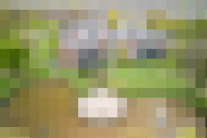 Arnold van Rodelaan 1 Hapert thumbnail 36