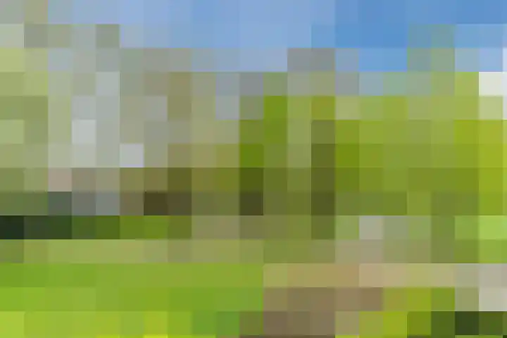 Arnold van Rodelaan 1 Hapert thumbnail 37