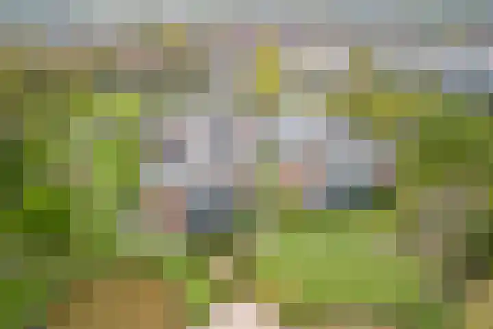 Arnold van Rodelaan 1 Hapert thumbnail 38