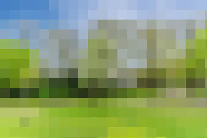 Arnold van Rodelaan 1 Hapert thumbnail 39