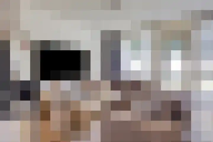 Arnold van Rodelaan 7 Hapert thumbnail 11