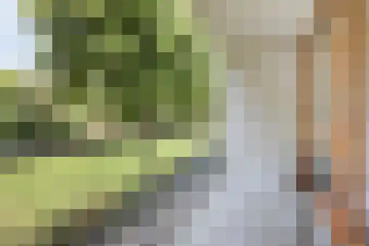 Arnold van Rodelaan 7 Hapert thumbnail 16